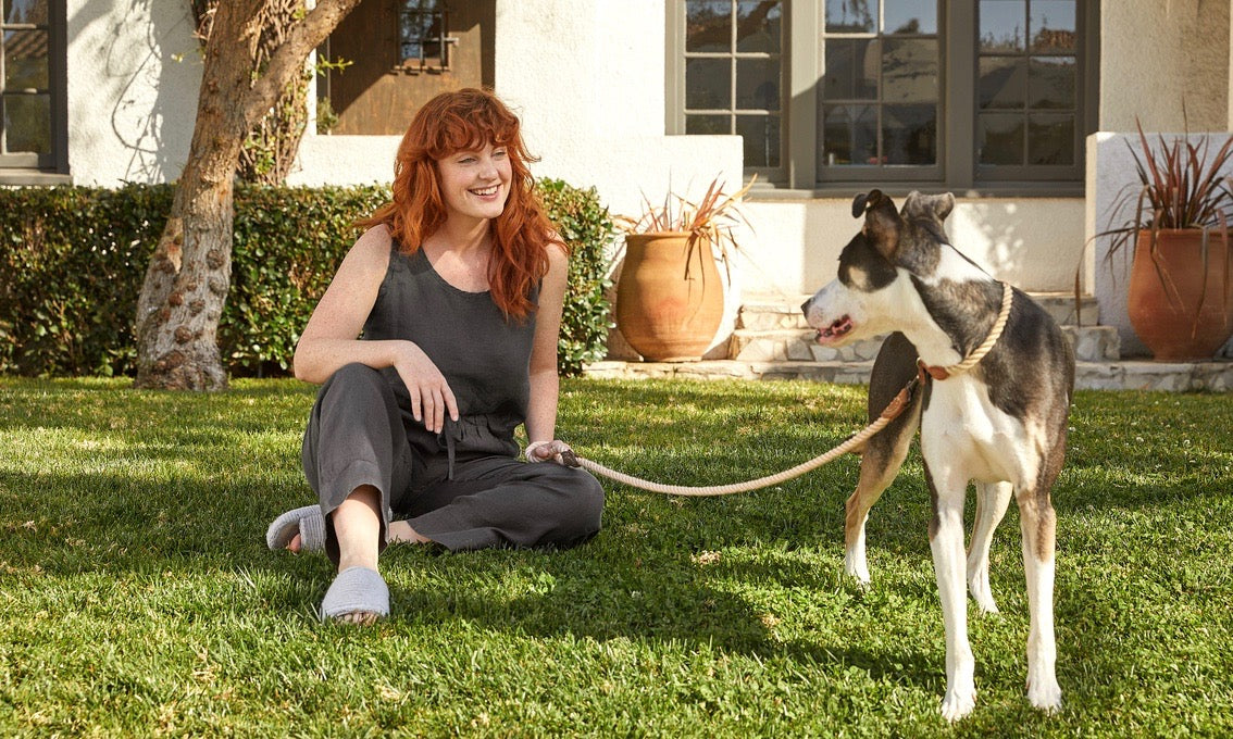 Bring Your Pups to Parachute This National Dog Day!